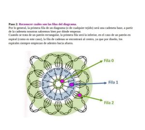 grafico 5
